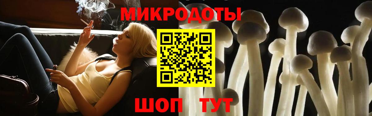 Якутск  Галлюциногенные грибы Cubensis  Вход с VPN 